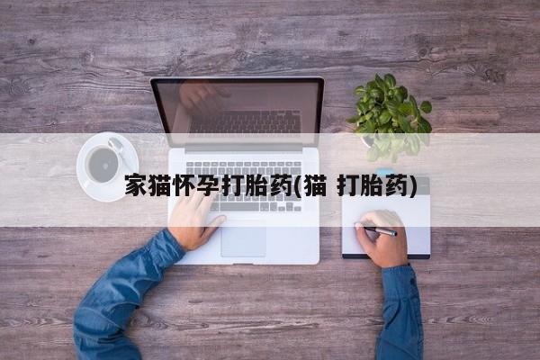 私下打胎药在线购买，家猫怀孕打胎药(猫 打胎药)